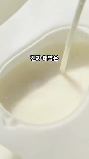 투명 토끼 푸딩의 핵심 포인트