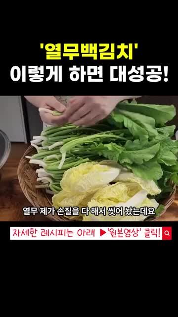 열무백김치 담그는 법: 보리풀죽으로 시원하게 만드는 여름 김치