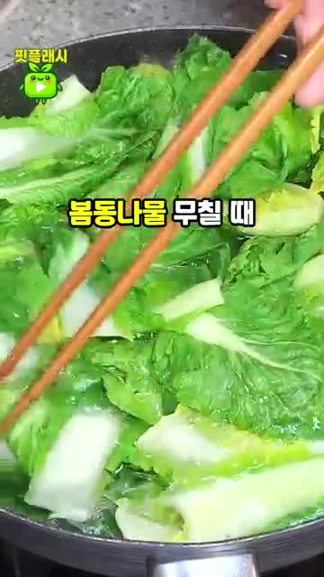 intro-봄동나물의 매력과 영양가