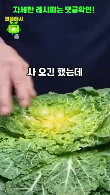 적절한 데치기 방법 소개