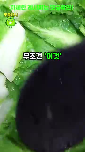 설탕의 역할과 중요성