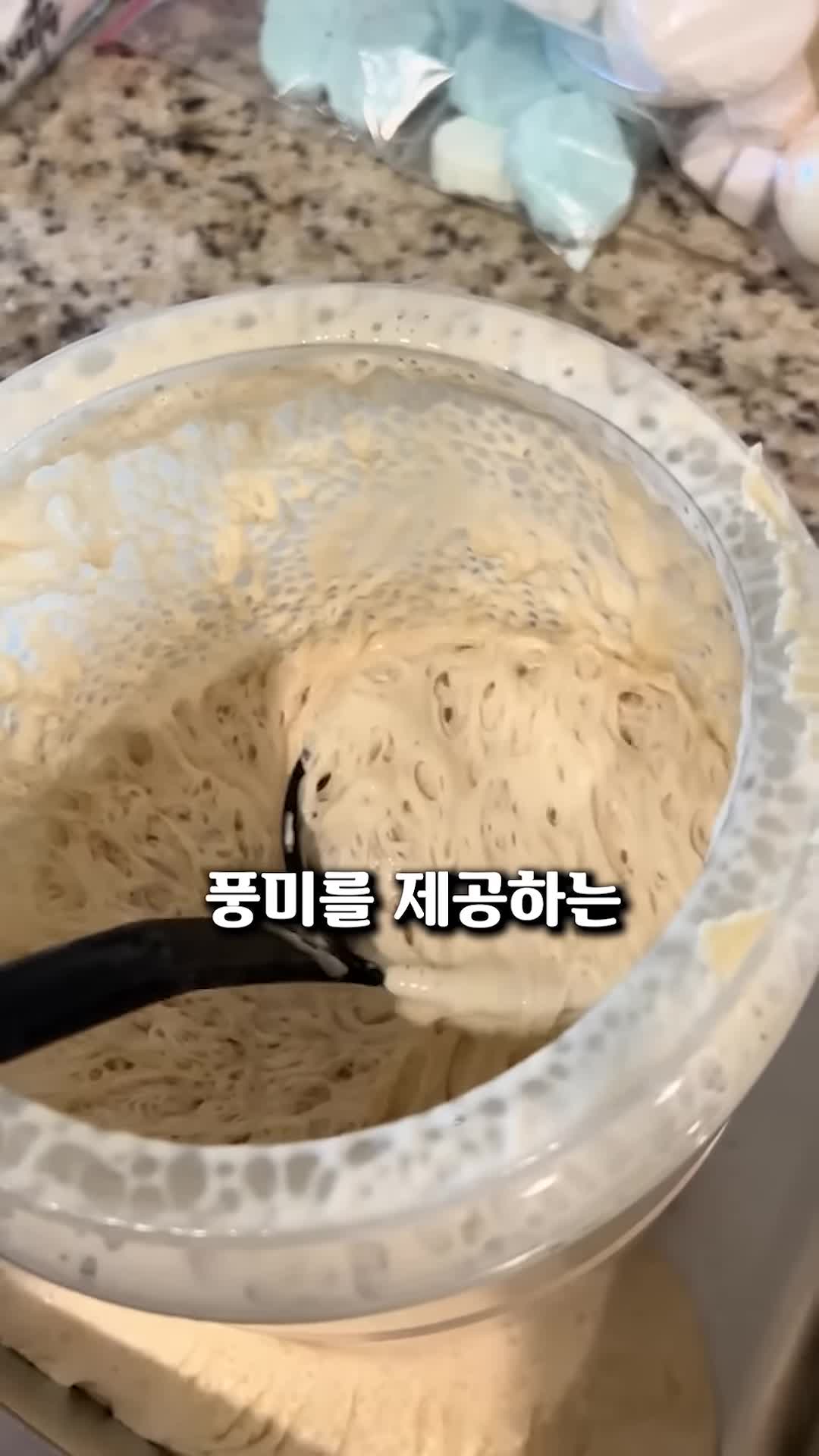 intro-발효종의 정의와 중요성