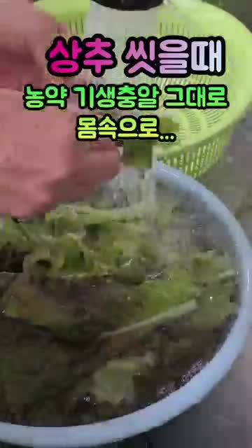 상추 세척에서 먼저 알아둘 점