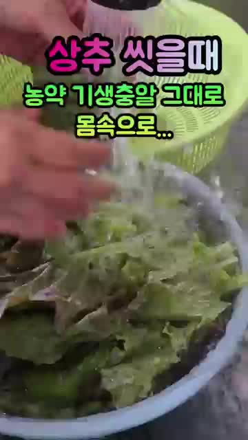 흐르는 물 세척만으로 끝내지 말아야 하는 이유