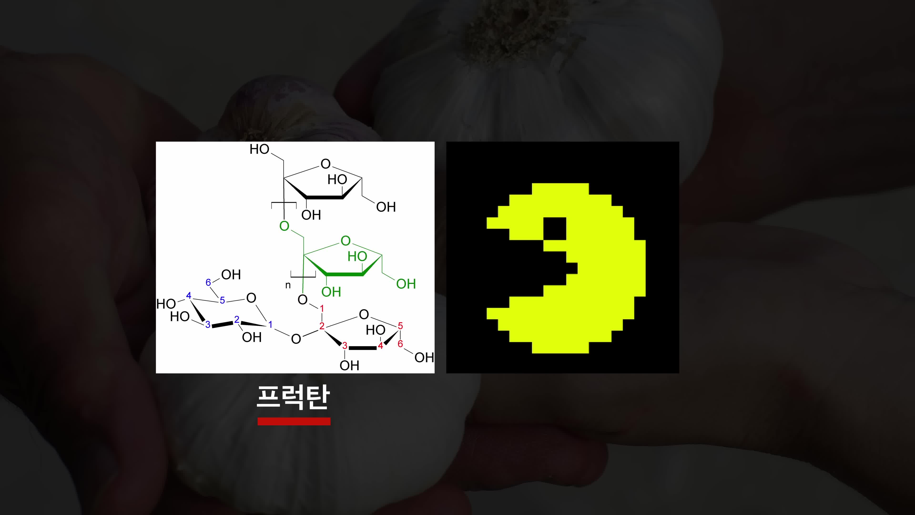 효소와 발효의 역할