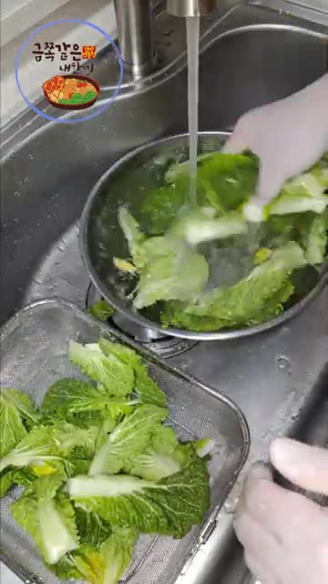 봄동의 세척과 준비 방법