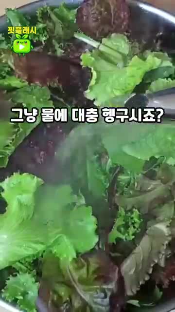상추는 왜 단순 세척으로 부족한가?