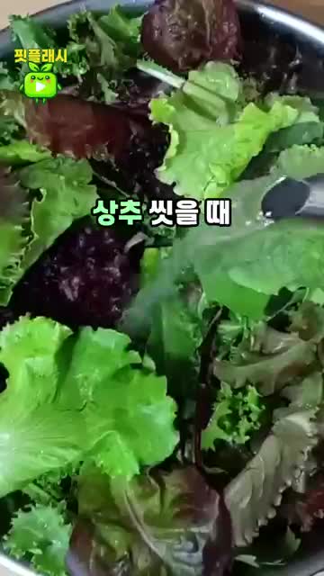 준비물 물과 식초물(보조제)만으로