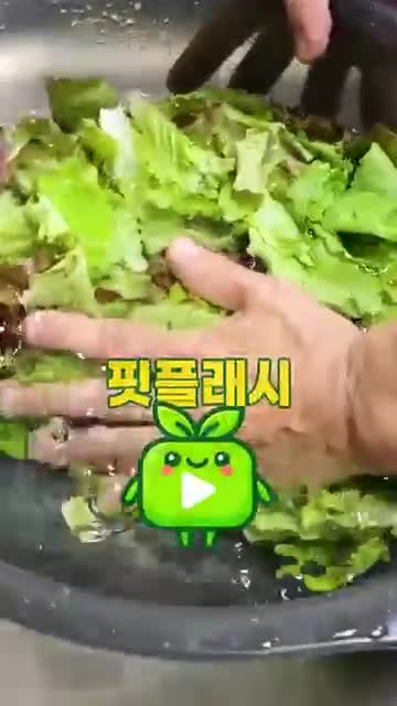 단계별 세척 흐름(순서 요약)