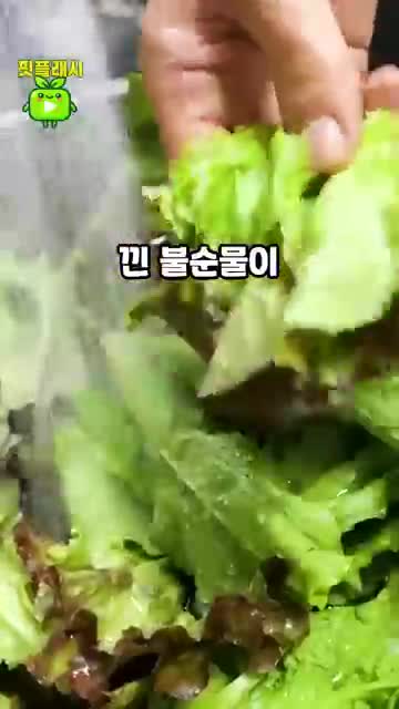 실전 팁 틈새 확인과 즉시 물기 제거
