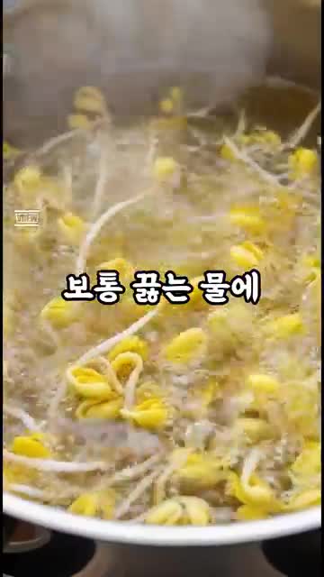콩나물 무침의 매력