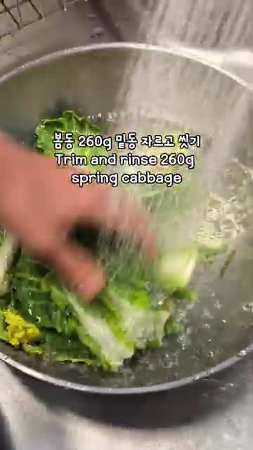 봄동 손질법 밑동 자르기·세척·물기 빼기·썰기