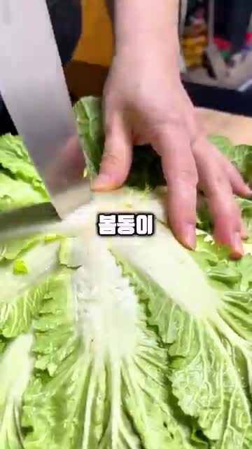 intro-봄동비빔밥의 매력