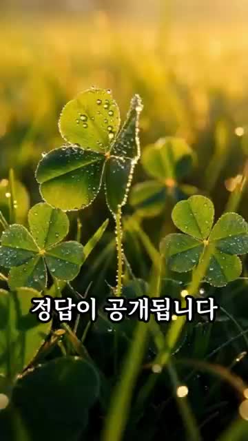 조리 순서 요약 — 매실액 먼저 넣고 갈은 과일로 단맛 내기