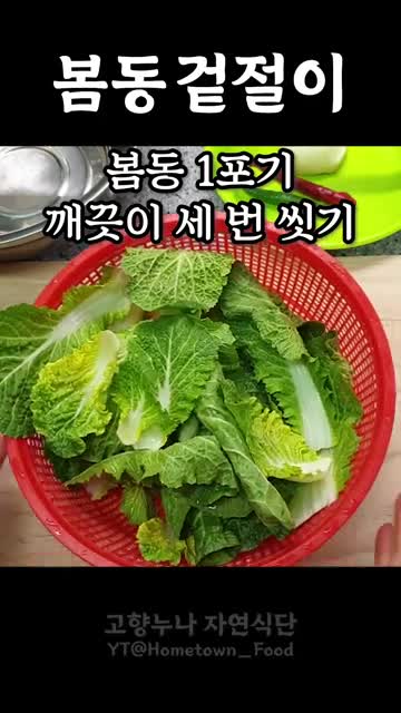 Intro-봄동 겉절이 소개