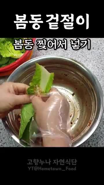 봄동 손질하기