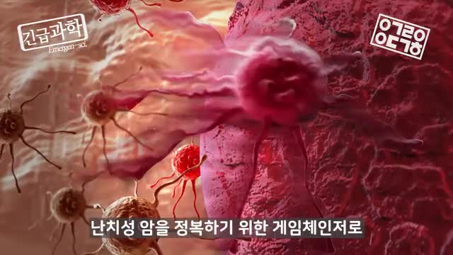 레드 바이오의 혁신 기술