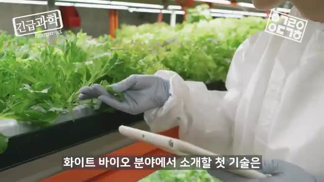 화이트 바이오 기술의 안전한 식품 관리