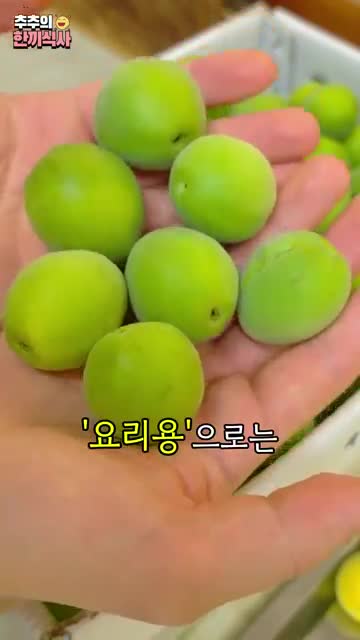 청매실 고르기와 준비