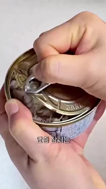 intro-요즘 참치의 인기와 간단한 조리법