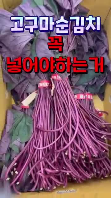 평소 보관과 섭취에서 챙길 점