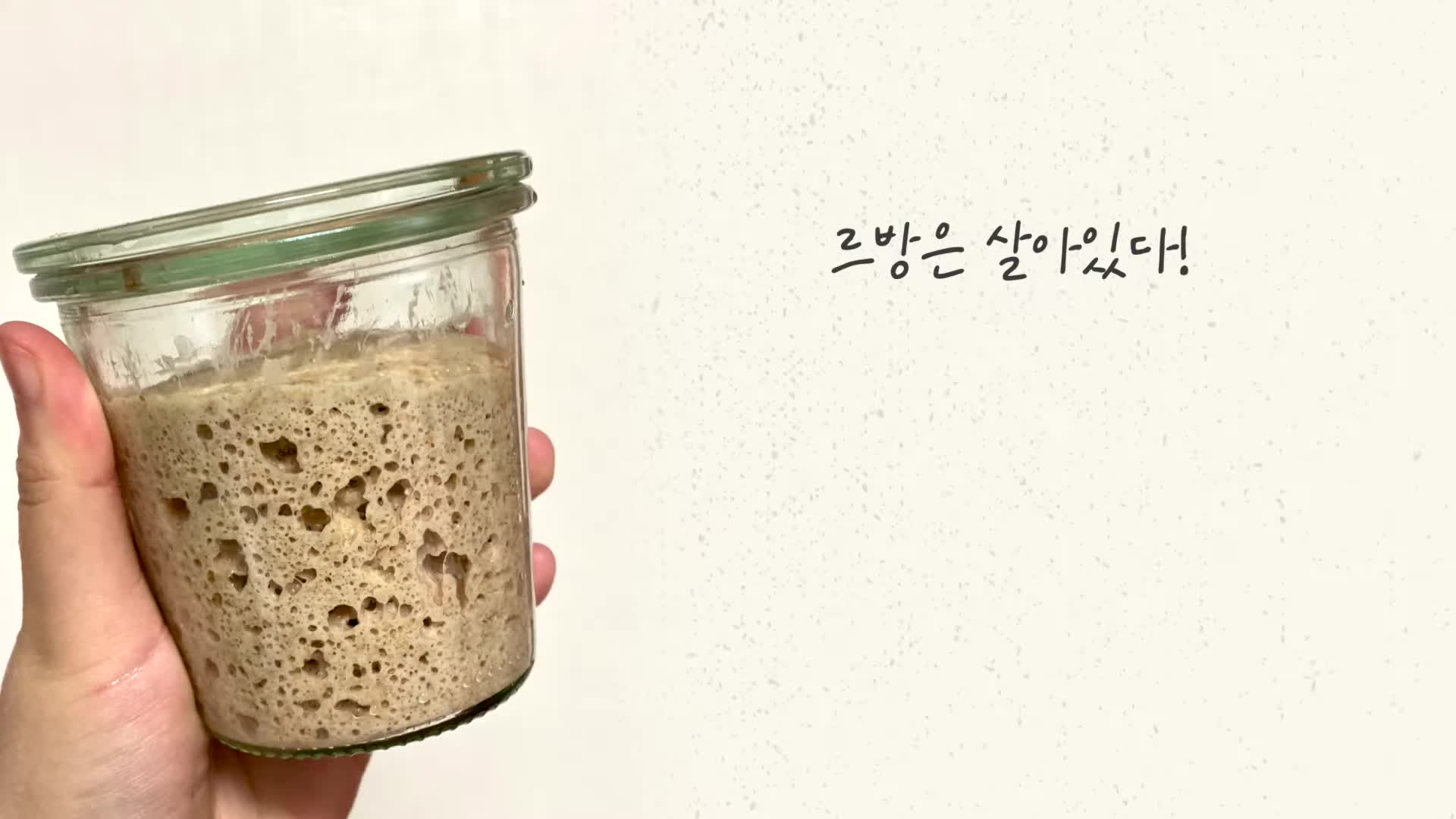 르방의 생명과 성장 이해하기