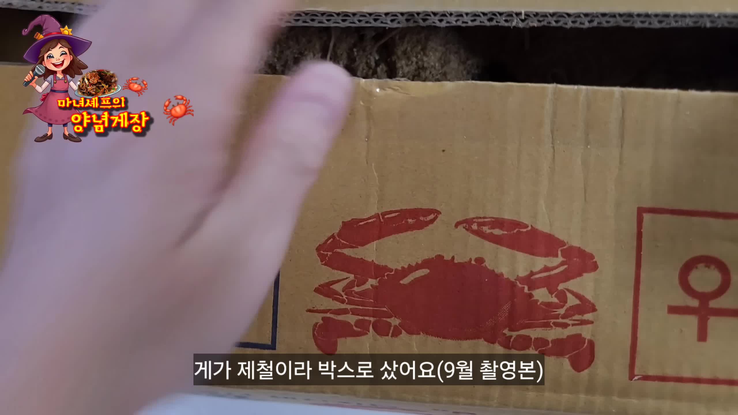 intro-마녀셰프의 인사와 꽃게 소개