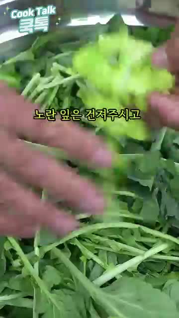 재료 손질과 준비 — 유채나물 세척·노란잎 제거 쌀물과 소금 배합