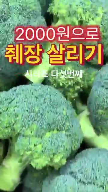 최장(영상 표현)의 역할과 영상이 제시한 위험 경고