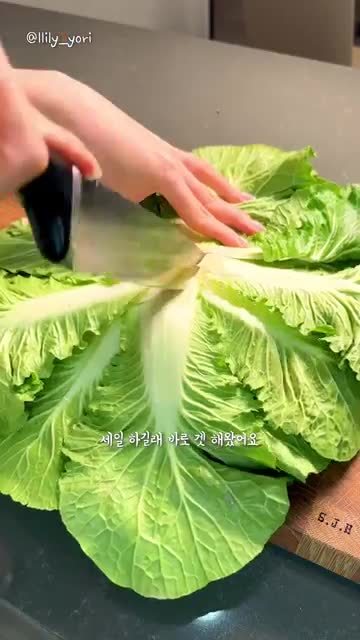 봄동 준비하기