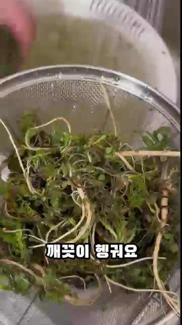 재료 및 분량(냉이 200g·무 150g 등)