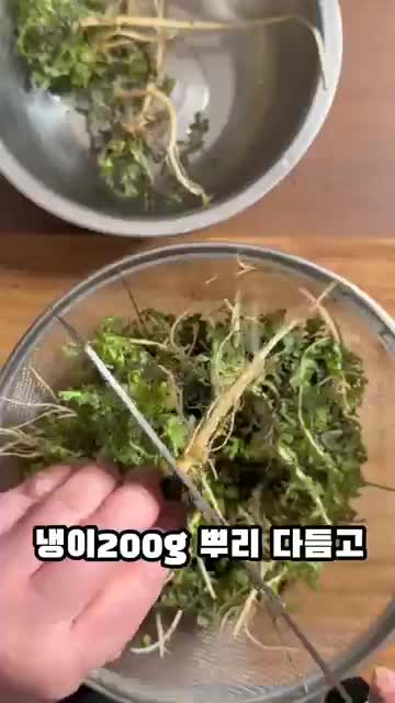 냉이 손질법 뿌리 다듬기와 세척 요령