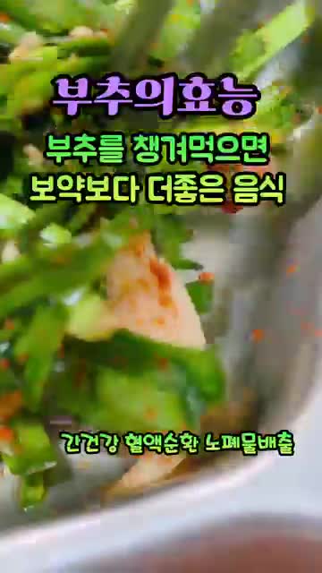 혈관 건강 알리신의 역할과 의미