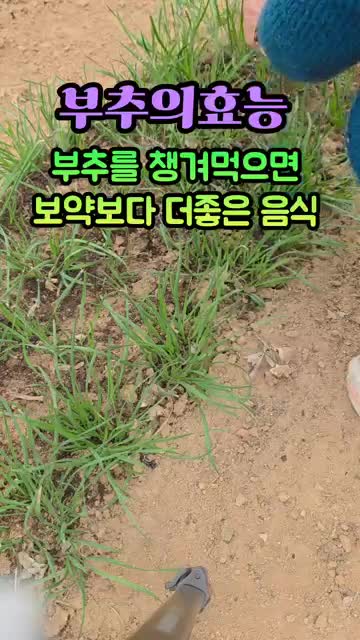 제시된 '몸의 변화 4가지' 개괄